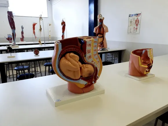 Vídeo e Imagens da IES