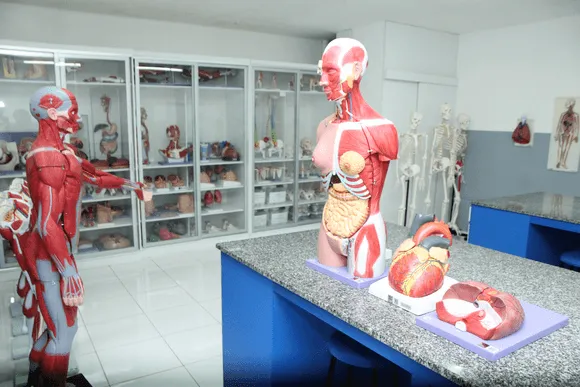 Vídeo e Imagens da IES