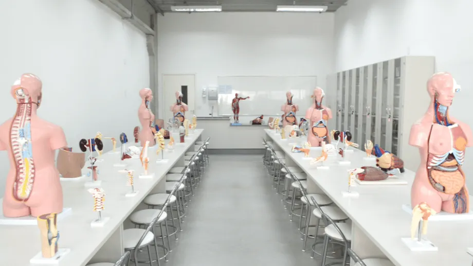 Vídeo e Imagens da IES