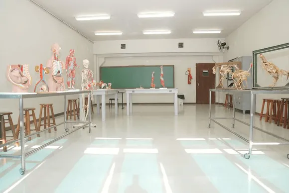 Vídeo e Imagens da IES