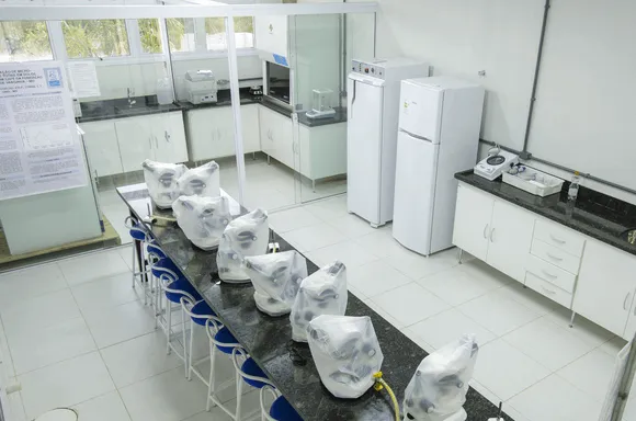 Vídeo e Imagens da IES
