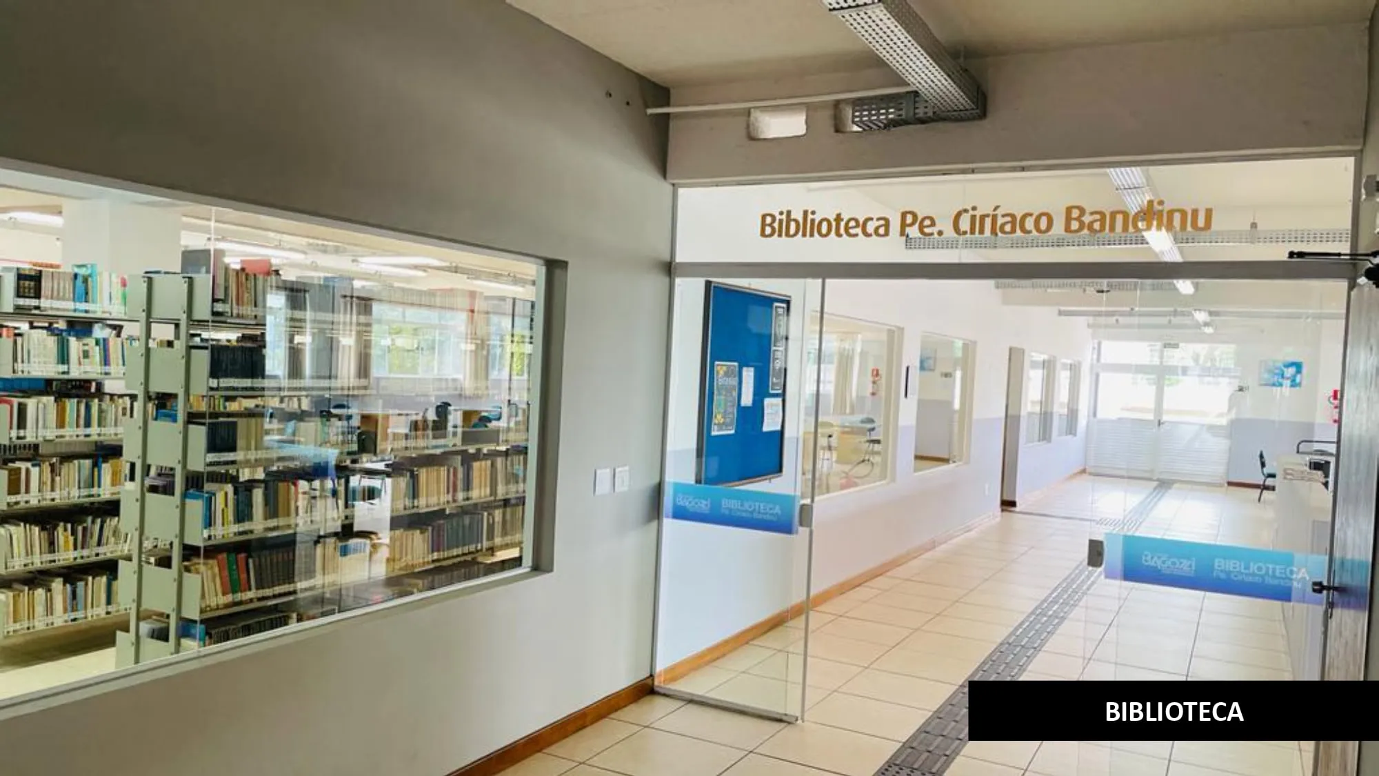 Vídeo e Imagens da IES