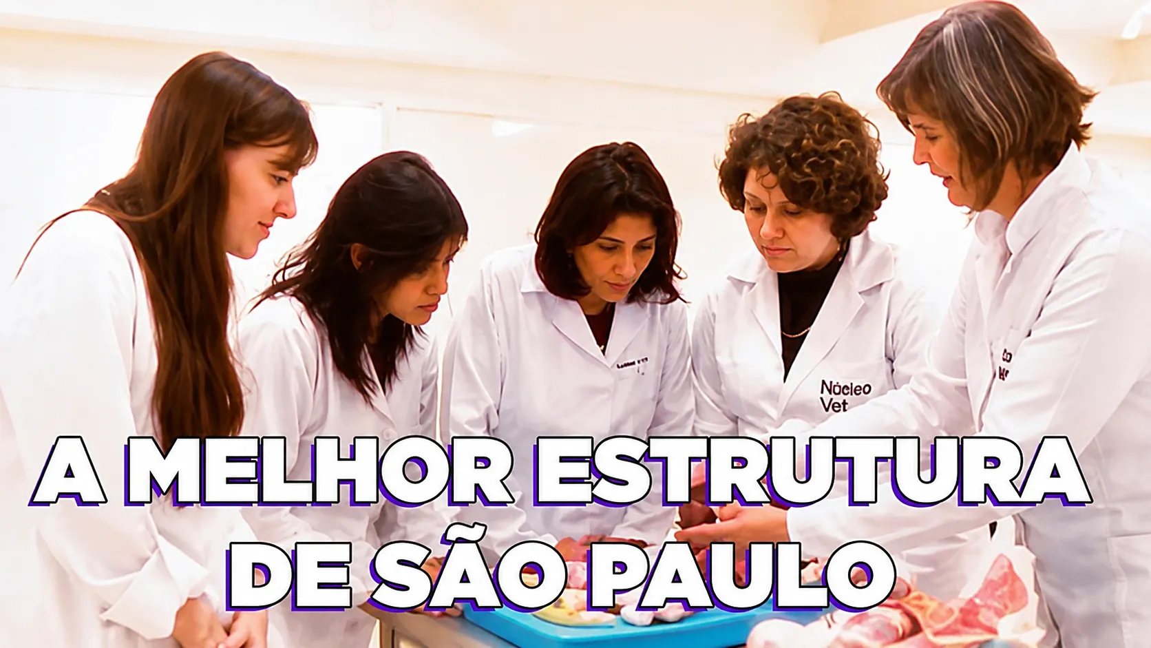Vídeo e Imagens da IES