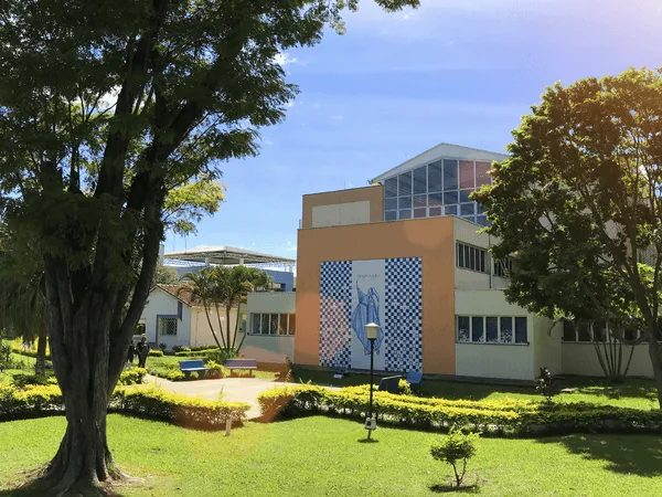 Vídeo e Imagens da IES