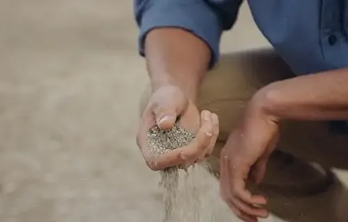 Adestrador de cães