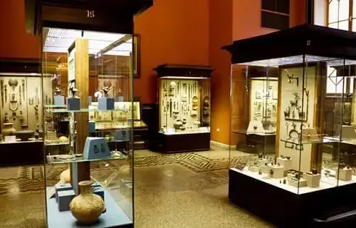Museólogo