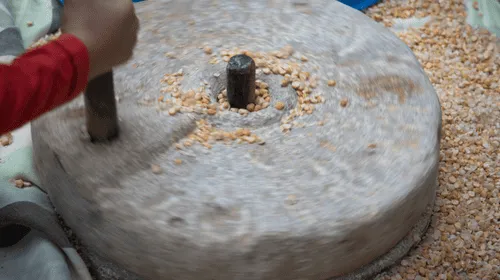 Moleiro