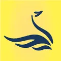CISNE